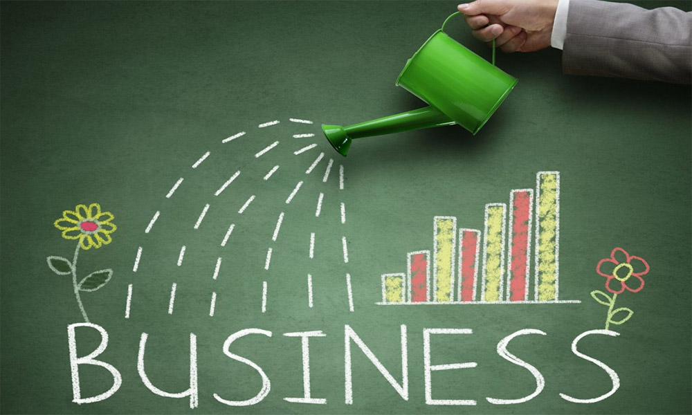 Grow Your Small Business